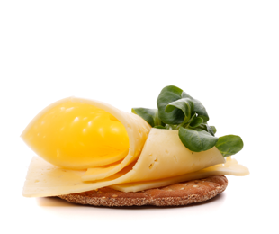 ساندویچ پنیر